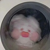 nuomixiaobun