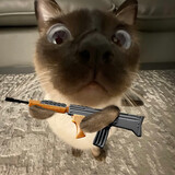 xiaoadaia_a