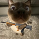 creator avatar