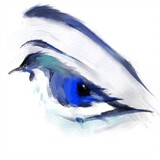 xueti