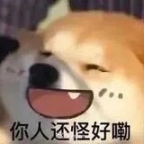 mengchongshezhangbli