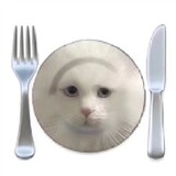 aichifeiniujuandejingjingzi