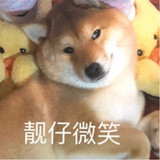 lisadelaogongshiwo
