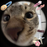 tadanuye_03