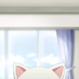 starspai