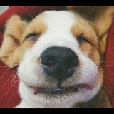 XiangbuqilaijiaruCan