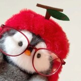 zhi wuxia (智无瑕)