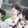 chengyixinhaha