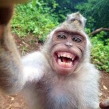 Hahahaez