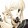 dayuzhouyin___rhao