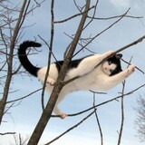 xiao___kukuwww