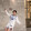jeffrey1220-