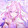 Elysia_aa