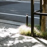 oneonedong