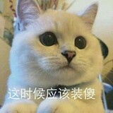 oyoxiyoxiyoxi