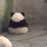 kgnhzhuzhu