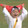 dayubushidayi