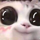 DANIZIEE