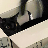 jenmoon-
