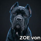 ZOE von ABER