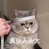 zaijienaichale