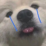 eluosimilu