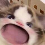 Youzimi