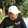 yeshengyuanding_