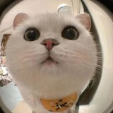 cobemeanime