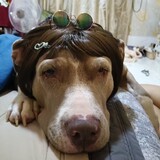Dee Dee Koko