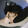 jinrenyi-