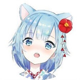 Shuiwulairui_official