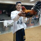 manok ni Tito ry