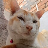 Nazmus Sakib_8244