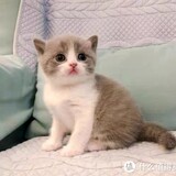 xiaoxinyi0211