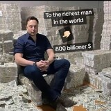 Elon musk brand