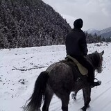 qingbaoshijie