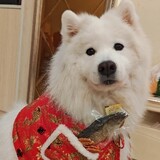 samoxuedingeye