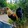 BADLBACKYARD