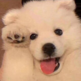 bie______