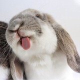 oojianqizhanggeoo