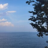 qiulinshu