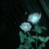 Ahad Ahmmed