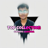 Top Collection Gaming