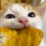lizhaohexiaolinqyq