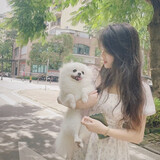 xiaoliaodebaitanriji