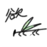 yumian-
