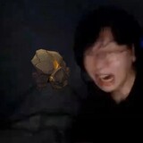 miaomiaomiao!
