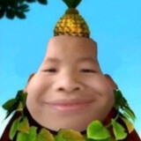 jidianwosiqudetazige