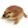 shijing